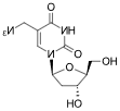 AmdU（5-叠氮甲基-2'-脱氧尿苷）