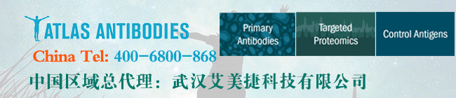 Atlas-antibodies代理品牌联系方式