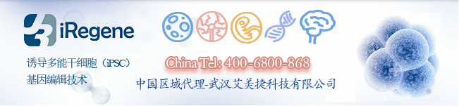 酷游ku119网址
服务热线